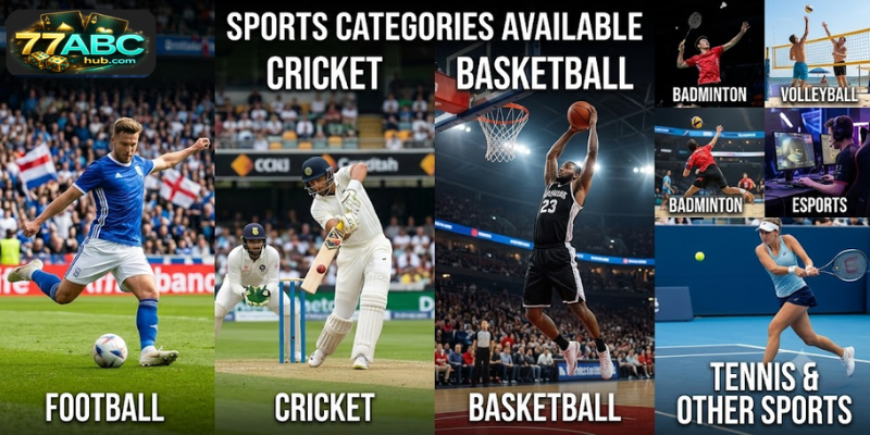 Sports Categories Available